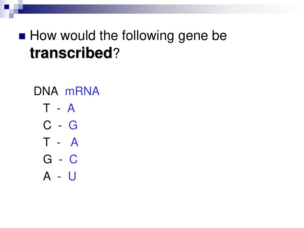How would the following gene be transcribed