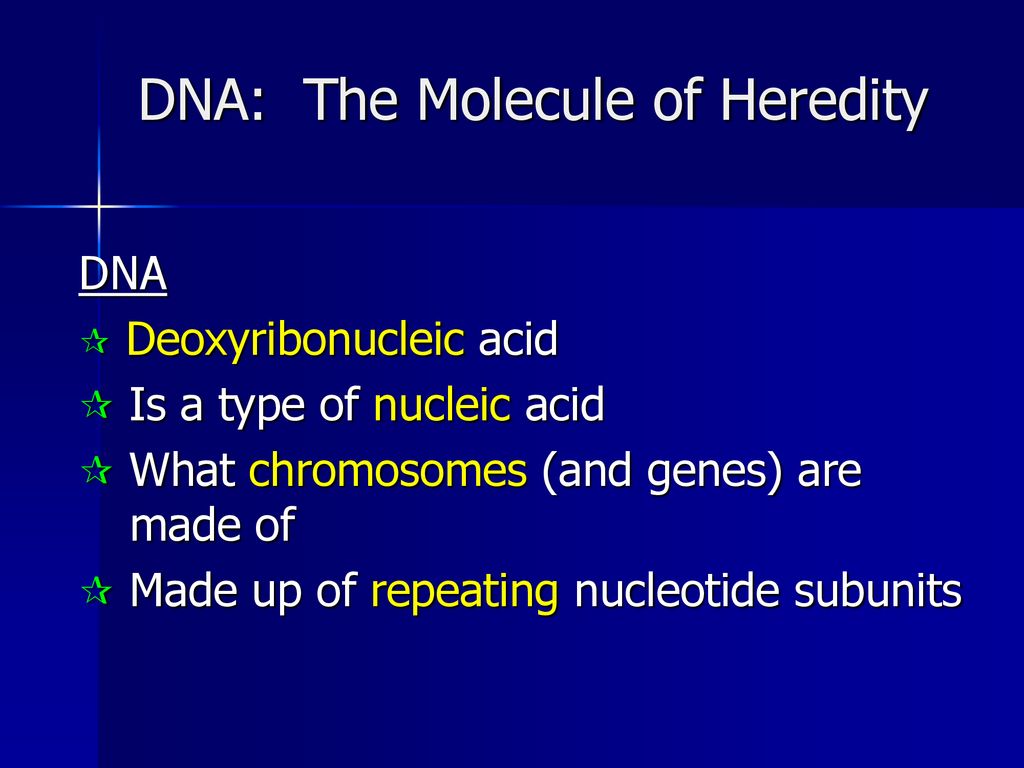 DNA: The Molecule of Heredity - ppt download