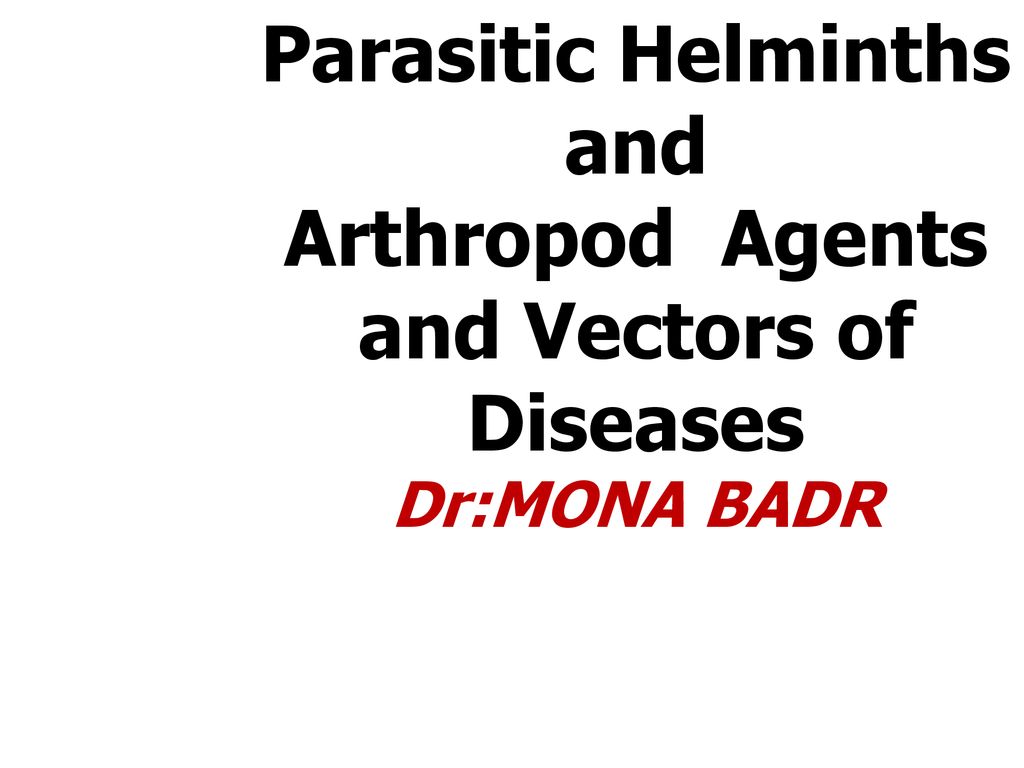 Arthropod Agents And Vectors Of Diseases Ppt Download