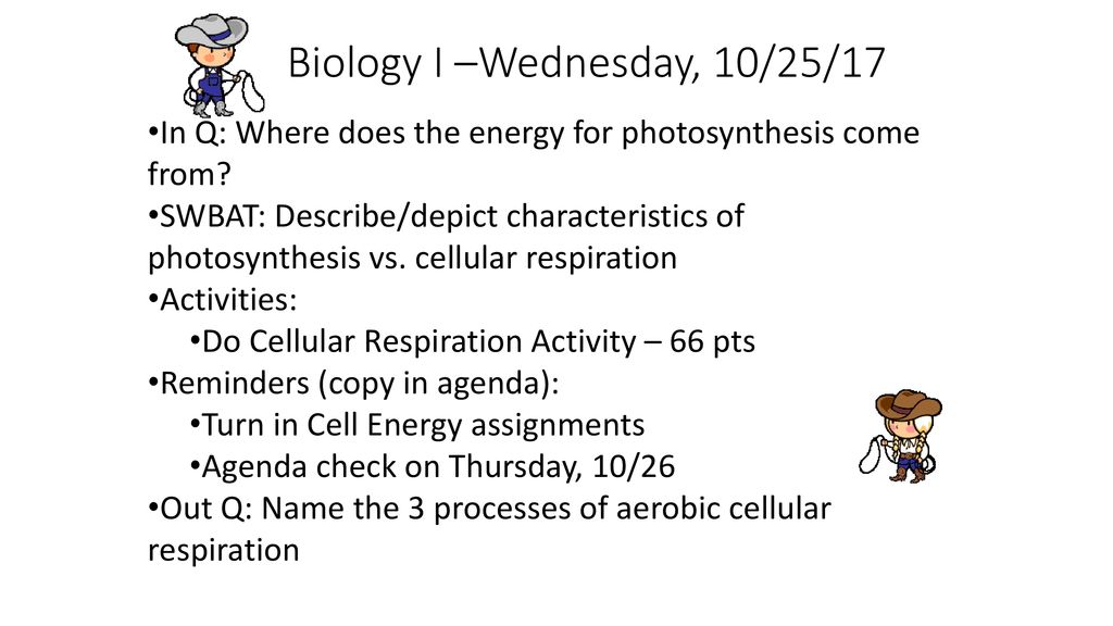 pic Amoeba Sisters Video Recap Photosynthesis And Cellular Respiration Answer Key biology i monday 10 16 17 in q what