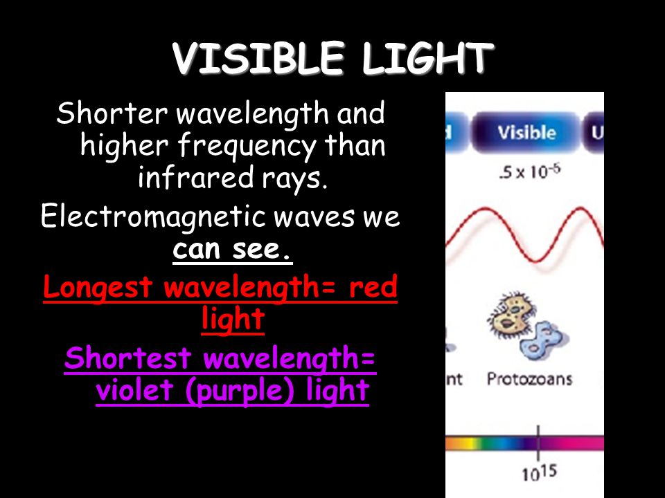 VISIBLE LIGHT Shorter wavelength and higher frequency than infrared rays. Electromagnetic waves we can see.