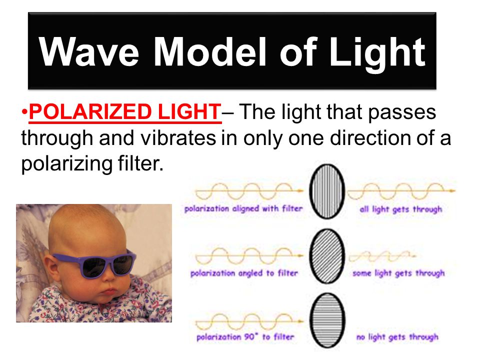 Wave Model of Light POLARIZED LIGHT– The light that passes through and vibrates in only one direction of a polarizing filter.