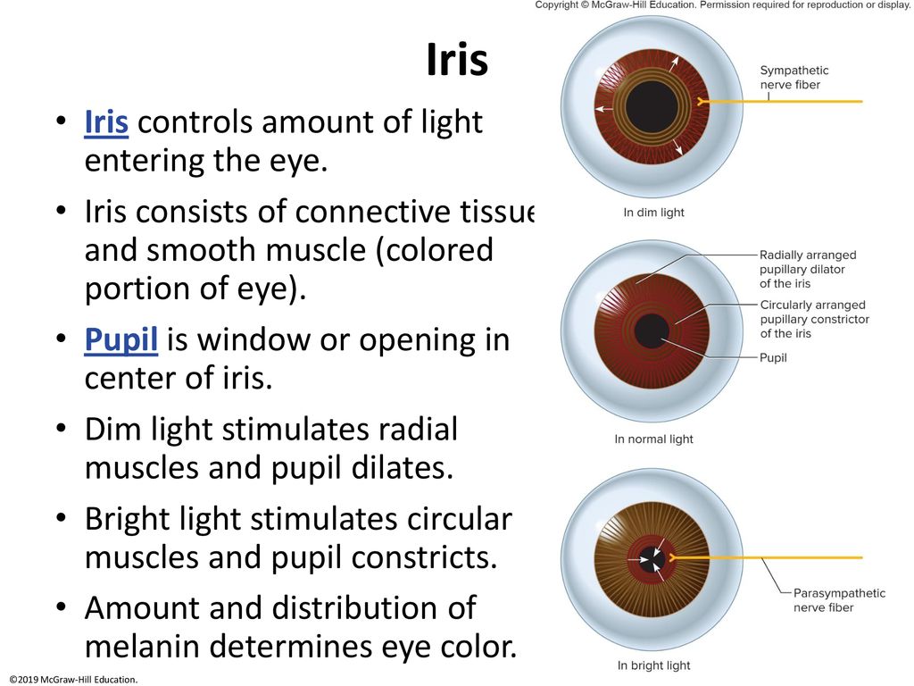 Vision interactive pgs ppt download