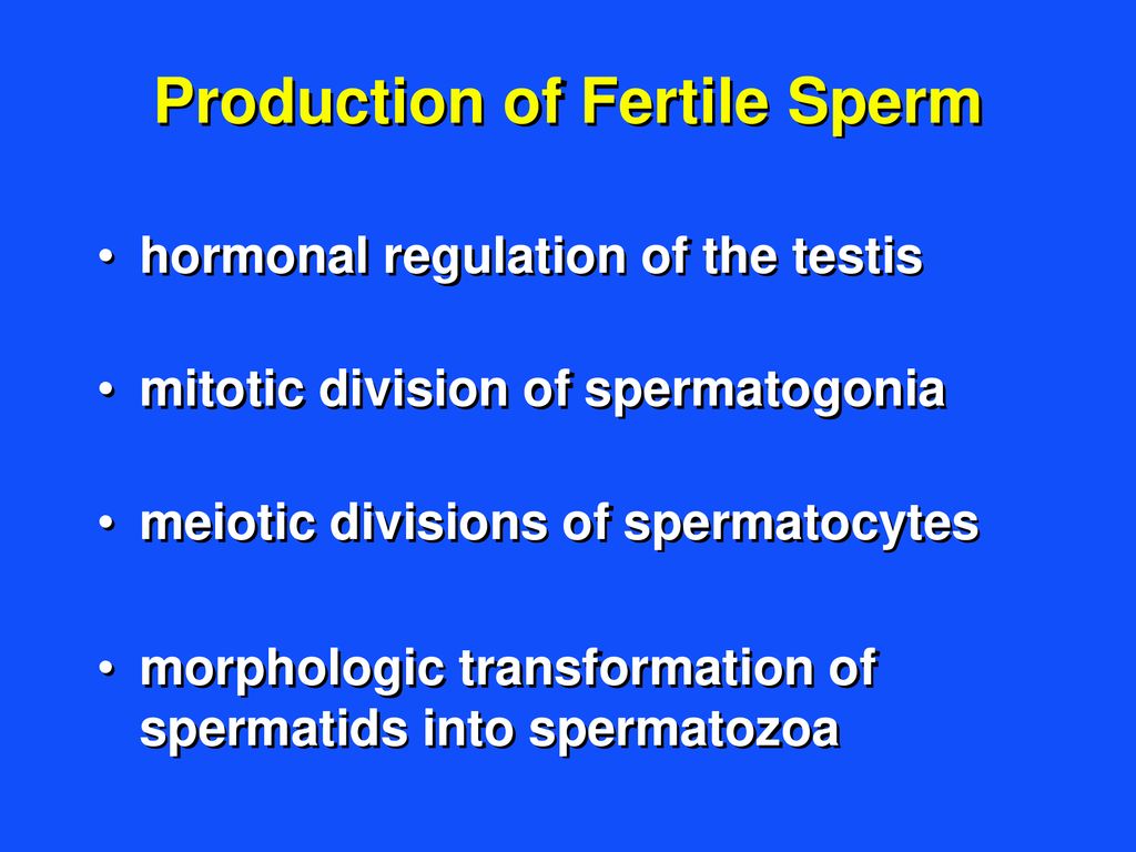 Production of Fertile Sperm