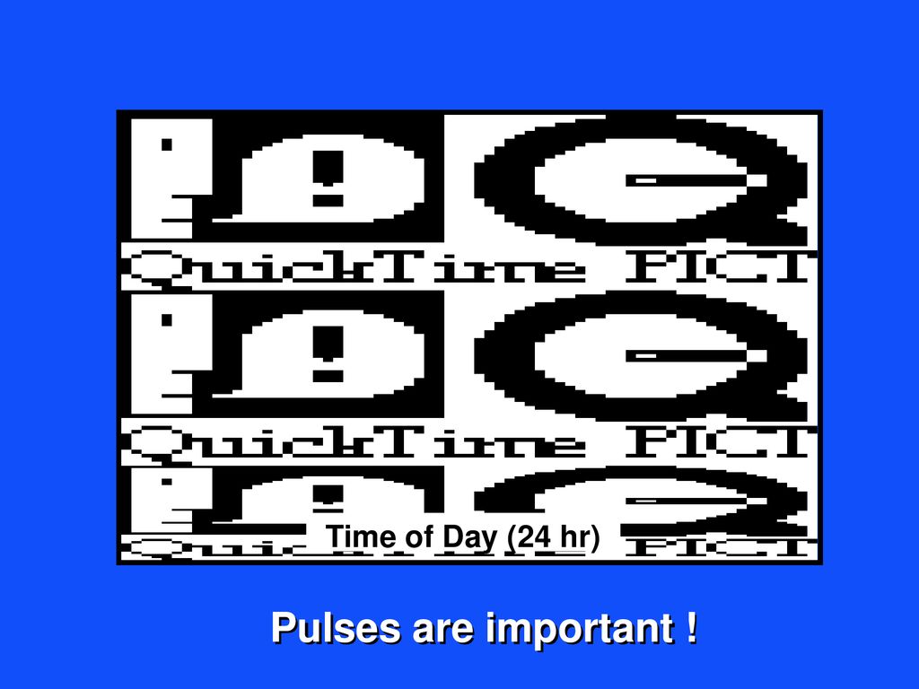 Time of Day (24 hr) Pulses are important !