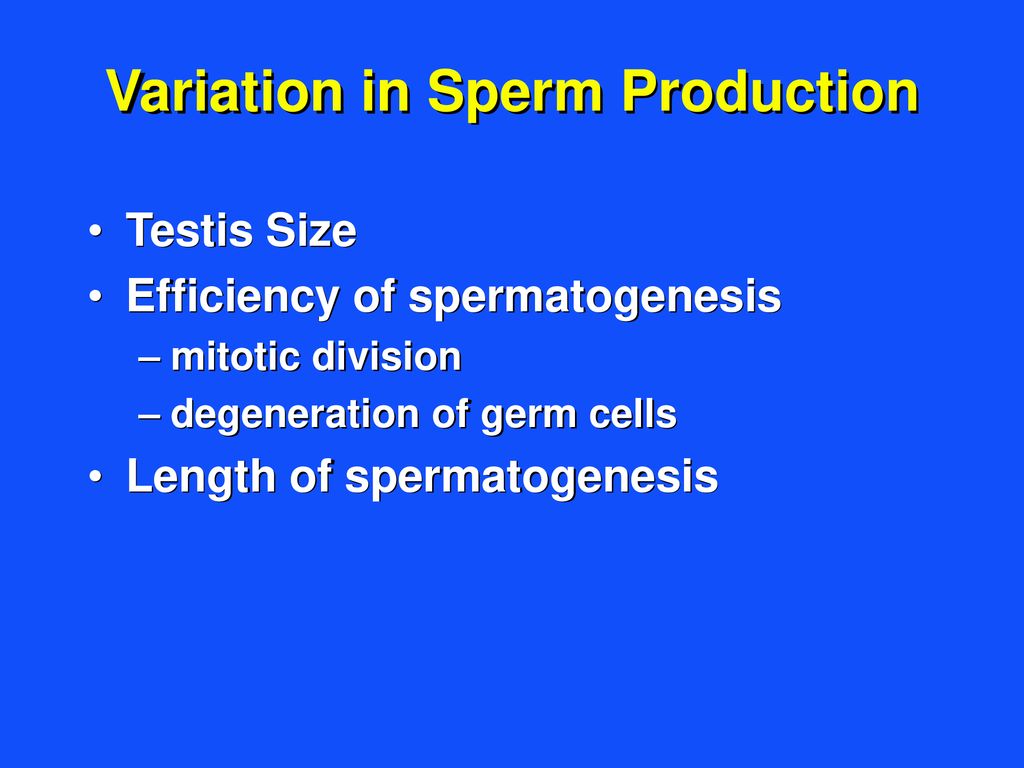 Variation in Sperm Production