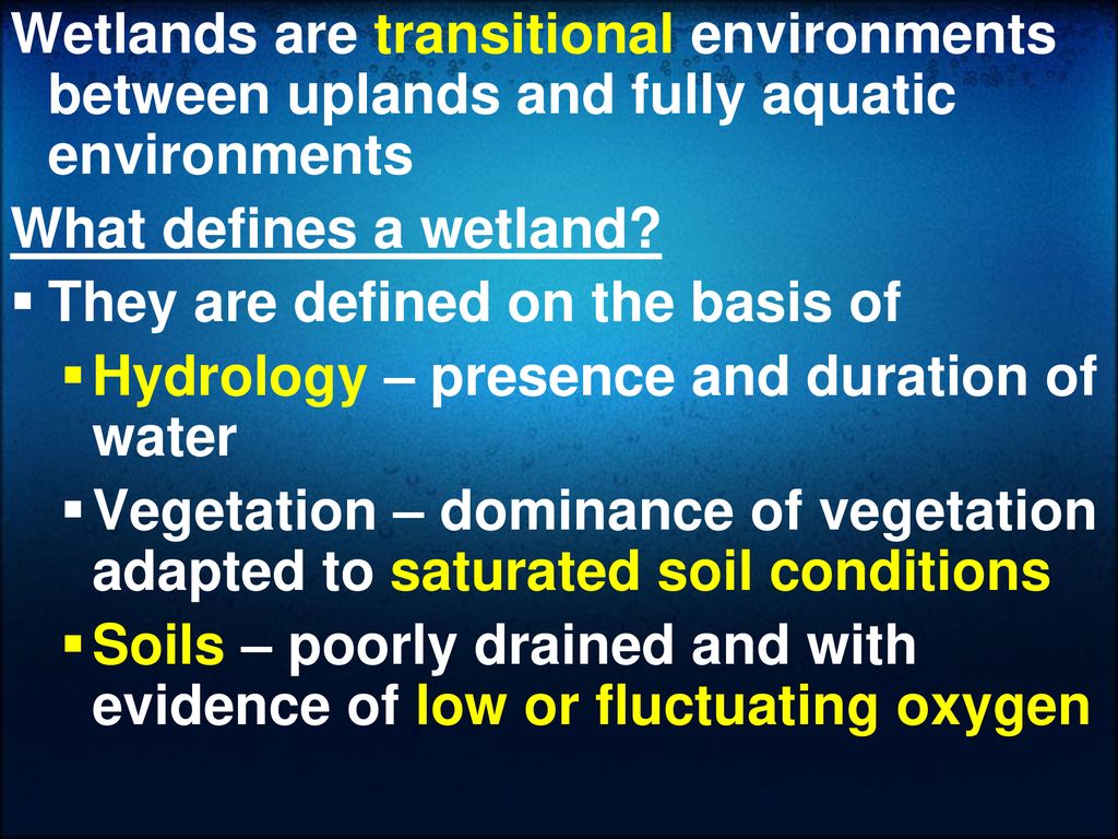 Wetlands are transitional environments between uplands and fully aquatic environments