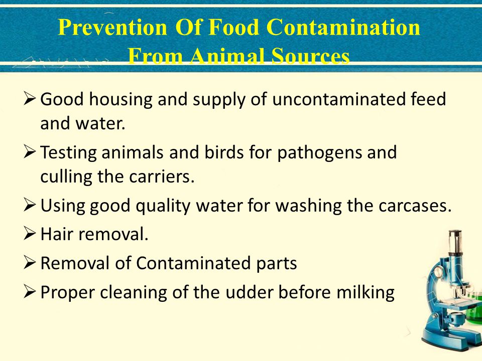 Prevention Of Food Contamination From Animal Sources