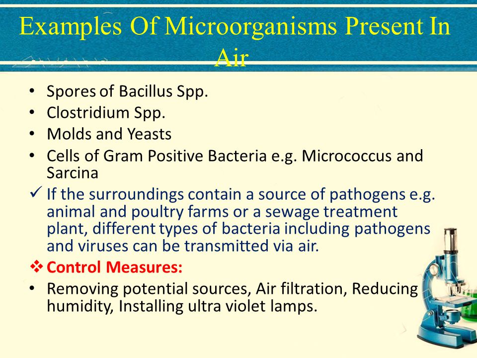 Examples Of Microorganisms Present In Air