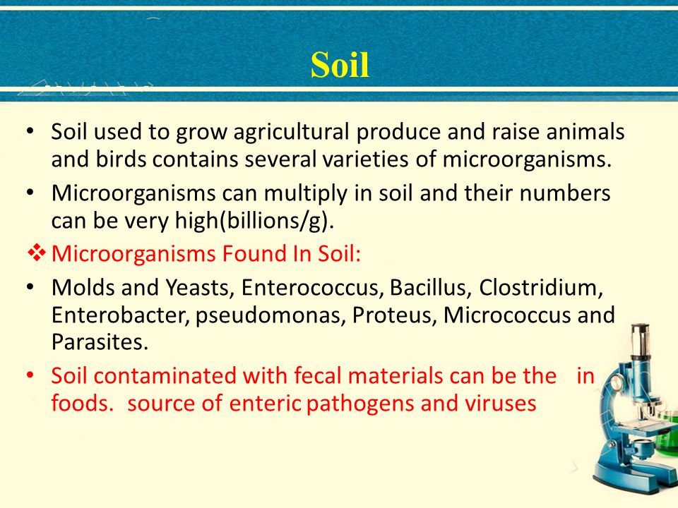 Soil Soil used to grow agricultural produce and raise animals and birds contains several varieties of microorganisms.