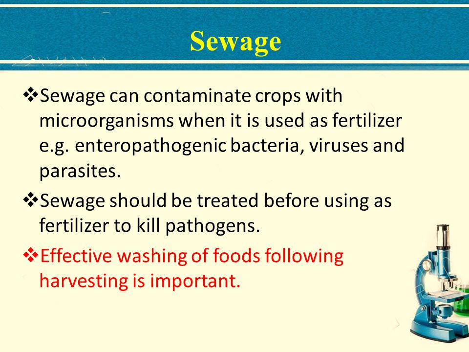 Sewage Sewage can contaminate crops with microorganisms when it is used as fertilizer e.g. enteropathogenic bacteria, viruses and parasites.