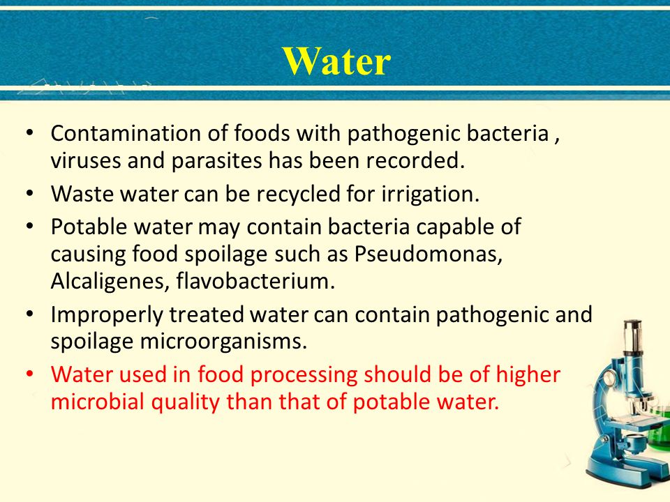 Water Contamination of foods with pathogenic bacteria , viruses and parasites has been recorded. Waste water can be recycled for irrigation.