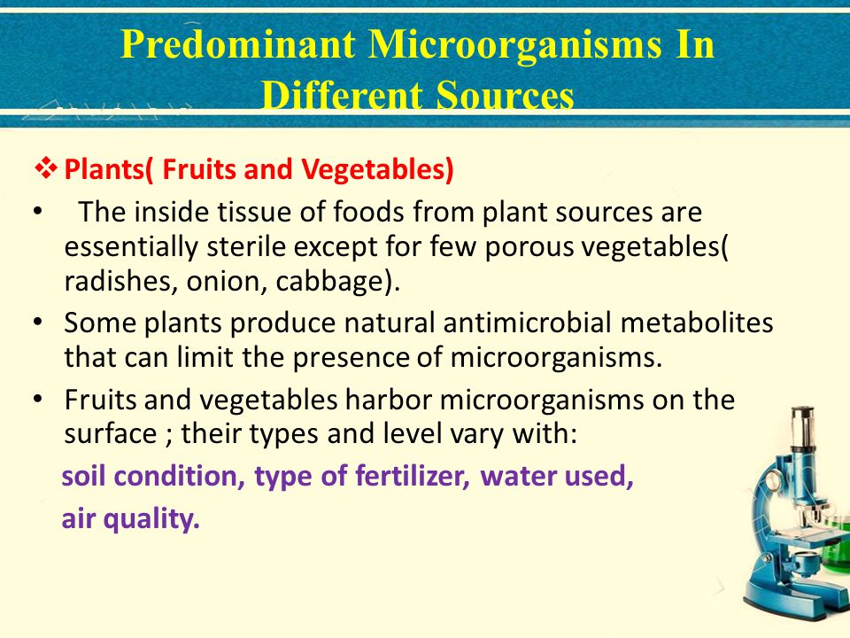 Predominant Microorganisms In Different Sources