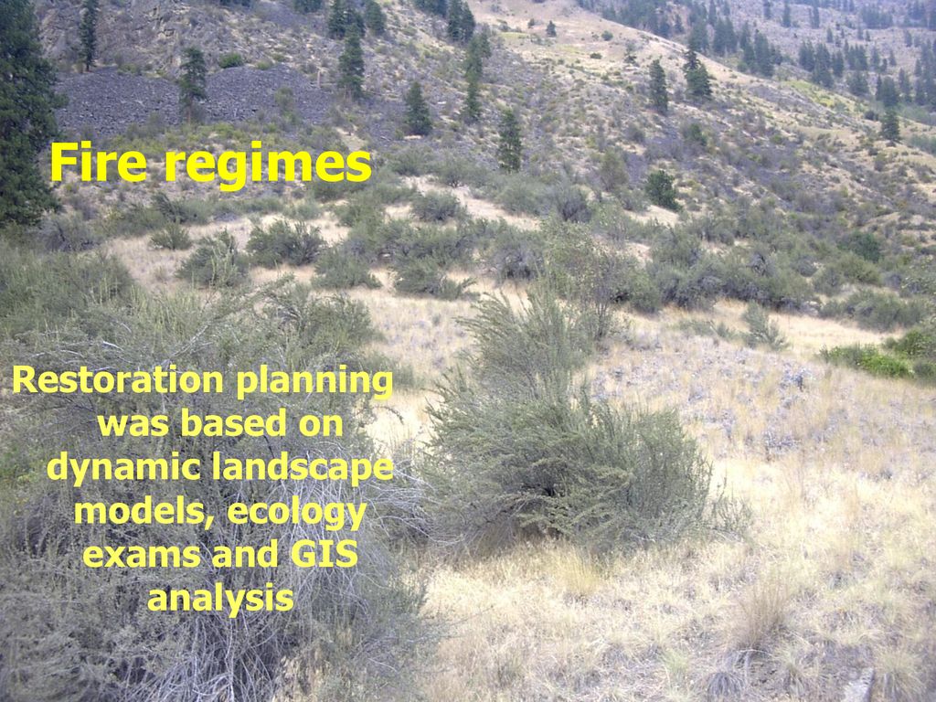 Fire regimes Restoration planning was based on dynamic landscape models, ecology exams and GIS analysis.