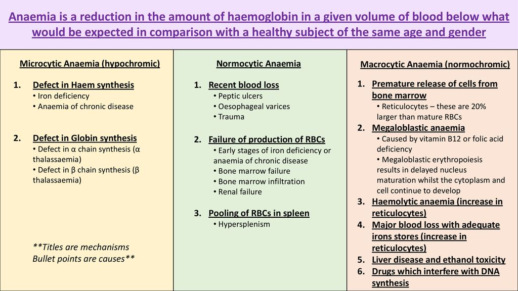 Haematology Lectures ppt download