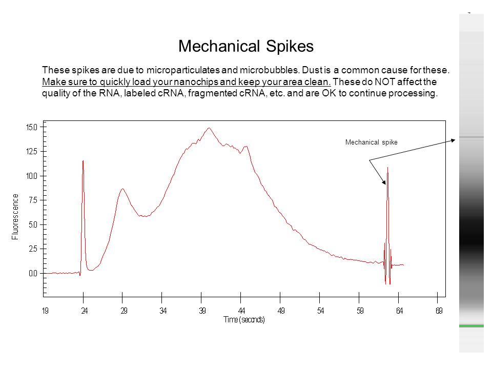 Mechanical Spikes These spikes are due to microparticulates and microbubbles. Dust is a common cause for these.