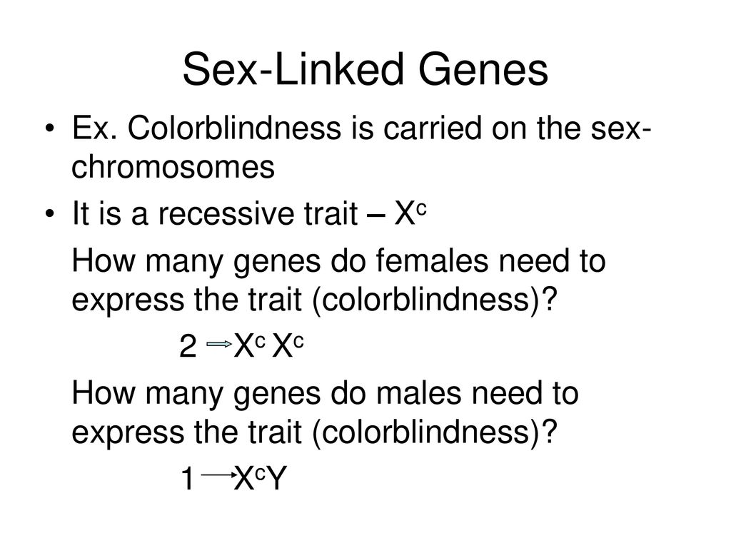 Mendelian Genetics Ppt Download