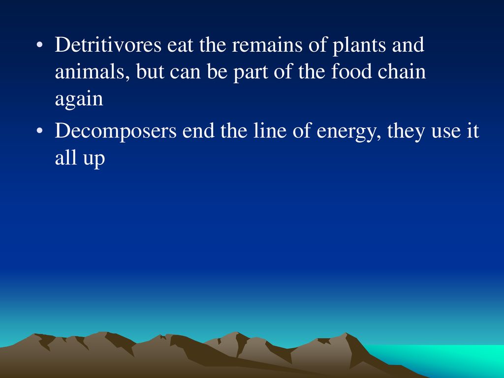 Flow of Energy and Matter Biology Diagrams