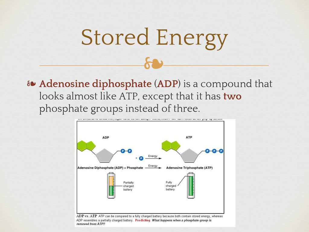 Stored Energy Adenosine diphosphate (ADP) is a compound that looks almost like ATP, except that it has two phosphate groups instead of three.