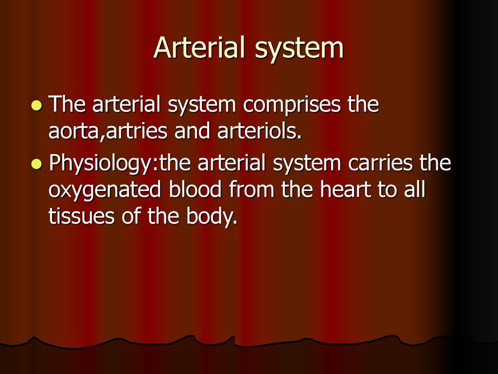 GOOD EVENING. Biology Diagrams