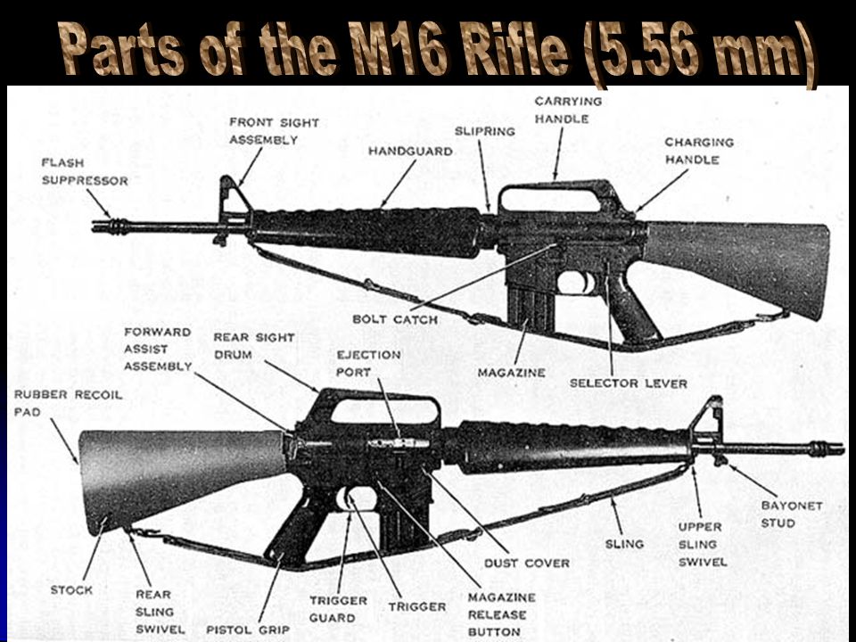 Parts Of Rifle Cal M16a1 Rifle M16 And M16A1, 53% OFF