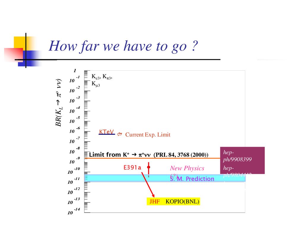 How far we have to go BR(KLg po nn) New Physics ( ) Ke3, Kp3, Km3