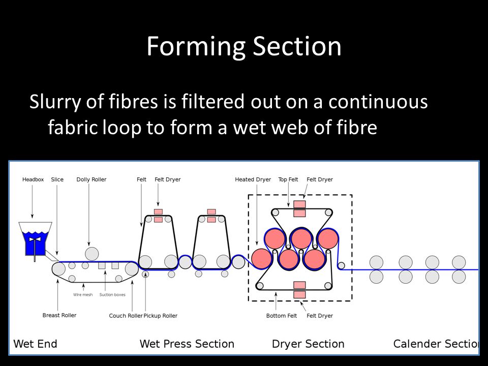 Forming Section Slurry of fibres is filtered out on a continuous fabric loop to form a wet web of fibre.