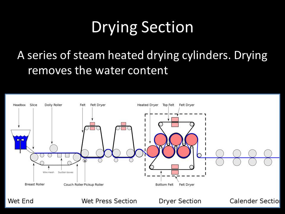 Drying Section A series of steam heated drying cylinders. Drying removes the water content