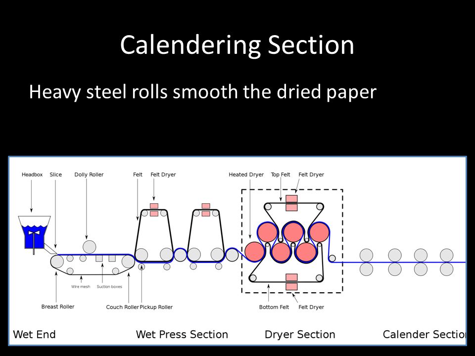 Calendering Section Heavy steel rolls smooth the dried paper