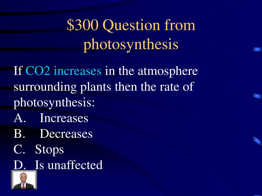 $300 Question from photosynthesis