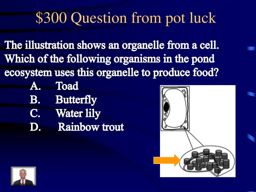 $300 Question from pot luck