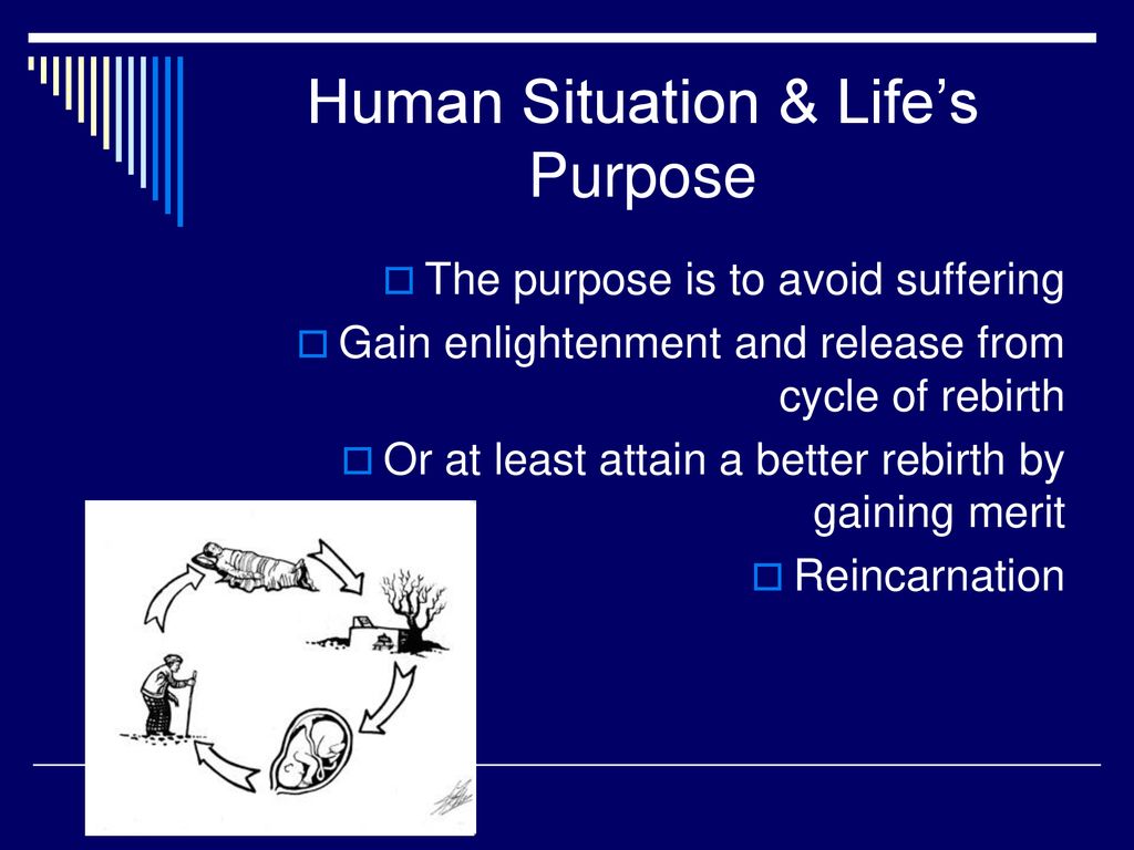 Human Situation & Life’s Purpose