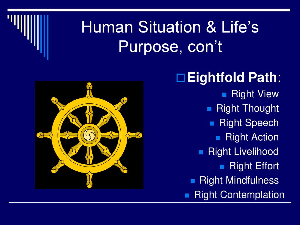 Human Situation & Life’s Purpose, con’t