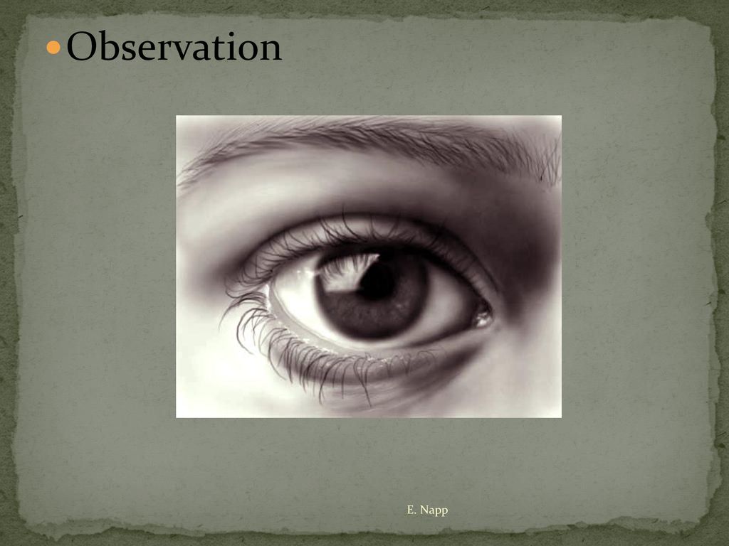 Observation E. Napp