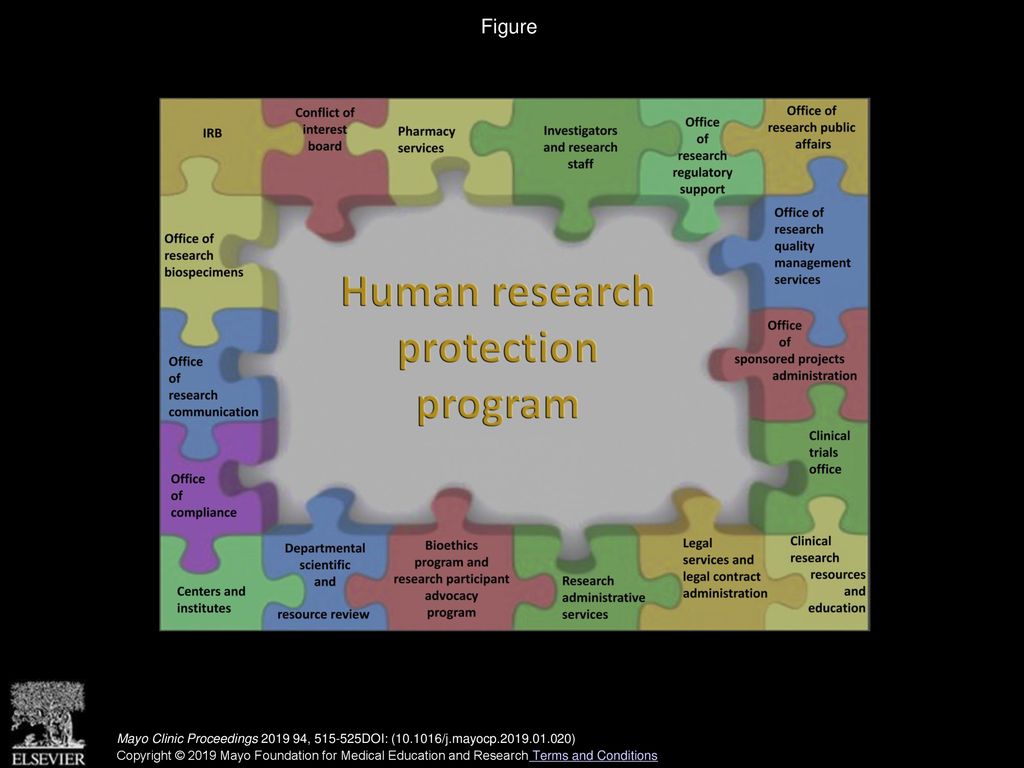Figure Human research protection program. IRB = institutional review board.