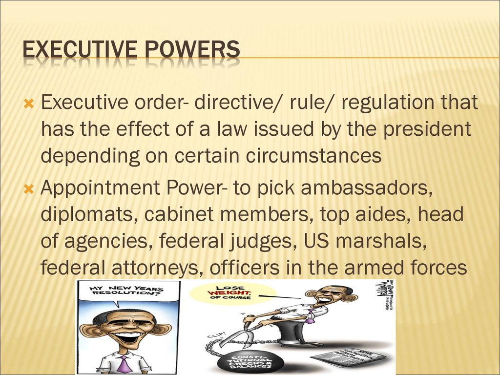 Topic 4 the executive branch ppt download