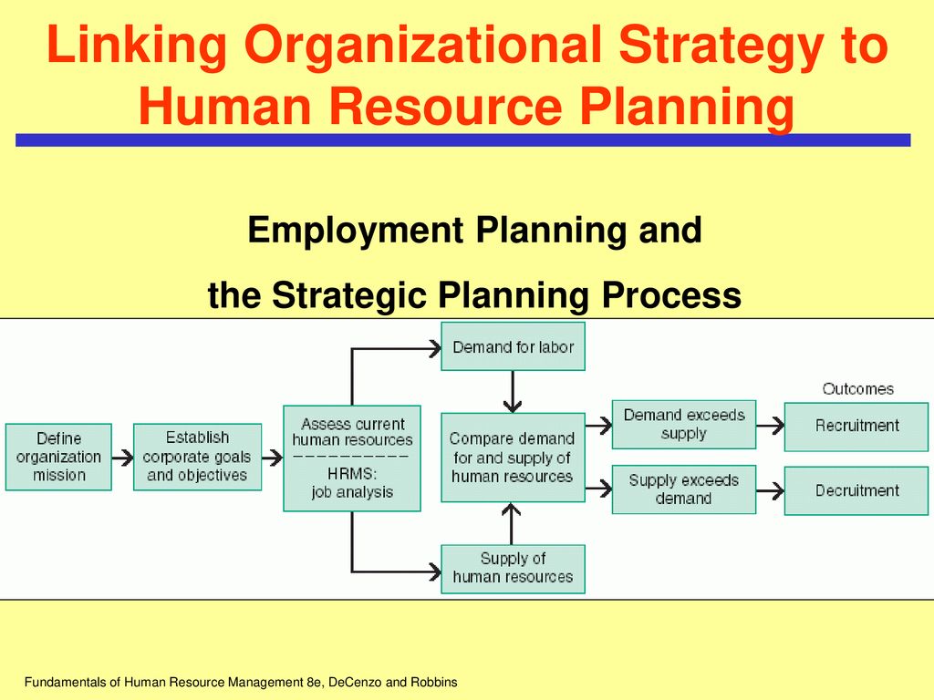 Fundamentals of Human Resource Management 8e, DeCenzo and Robbins - ppt ...