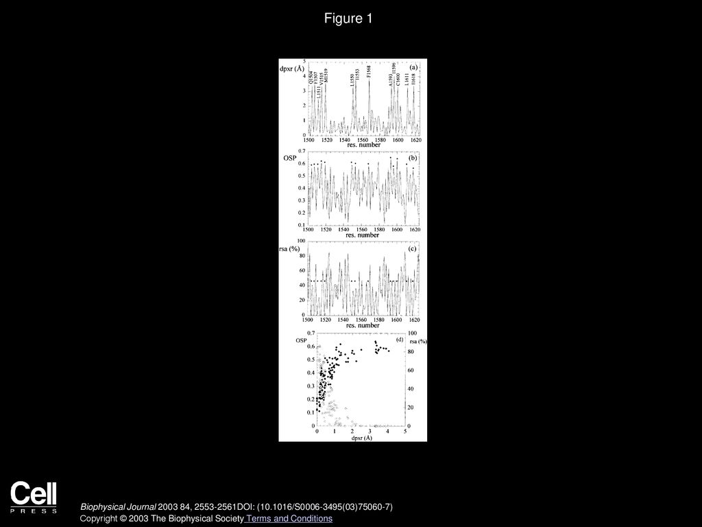 Atom depth as a descriptor of the protein interior ppt download