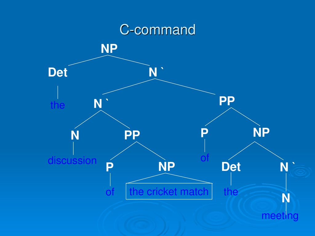C-command NP Det N ` PP N ` P NP N PP P NP Det N ` N the of discussion