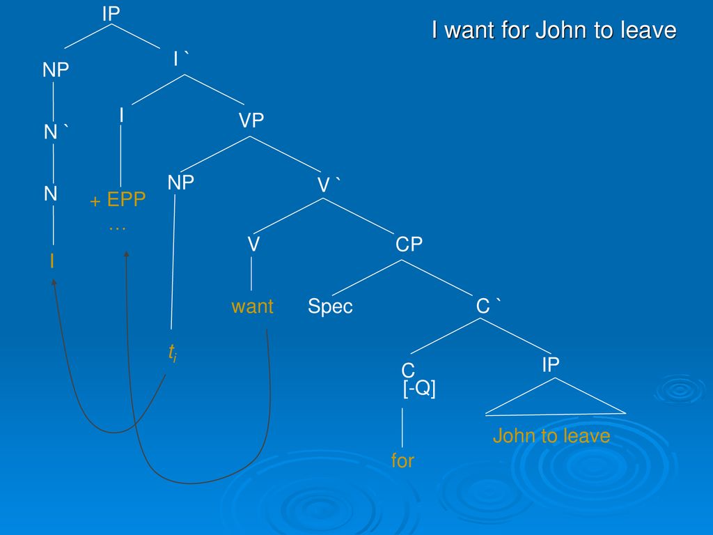 I want for John to leave IP I ` NP I VP N ` NP V ` N + EPP … V CP I