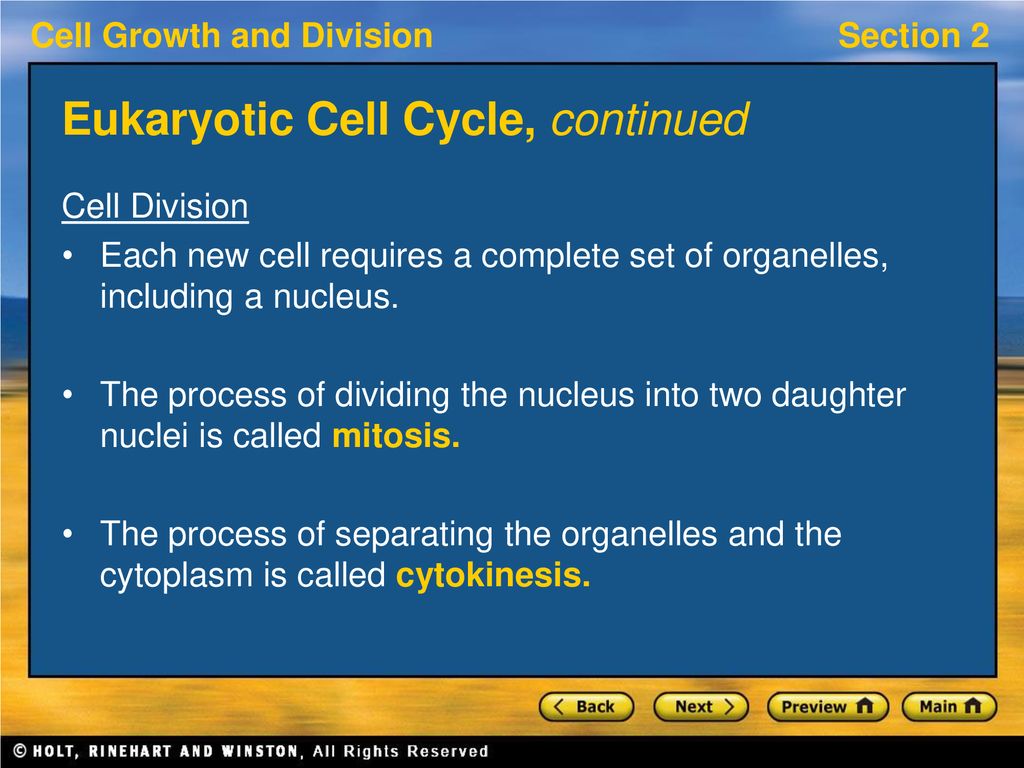 Section 2 Mitosis Preview Bellringer Key Ideas Eukaryotic Cell Cycle Biology Diagrams