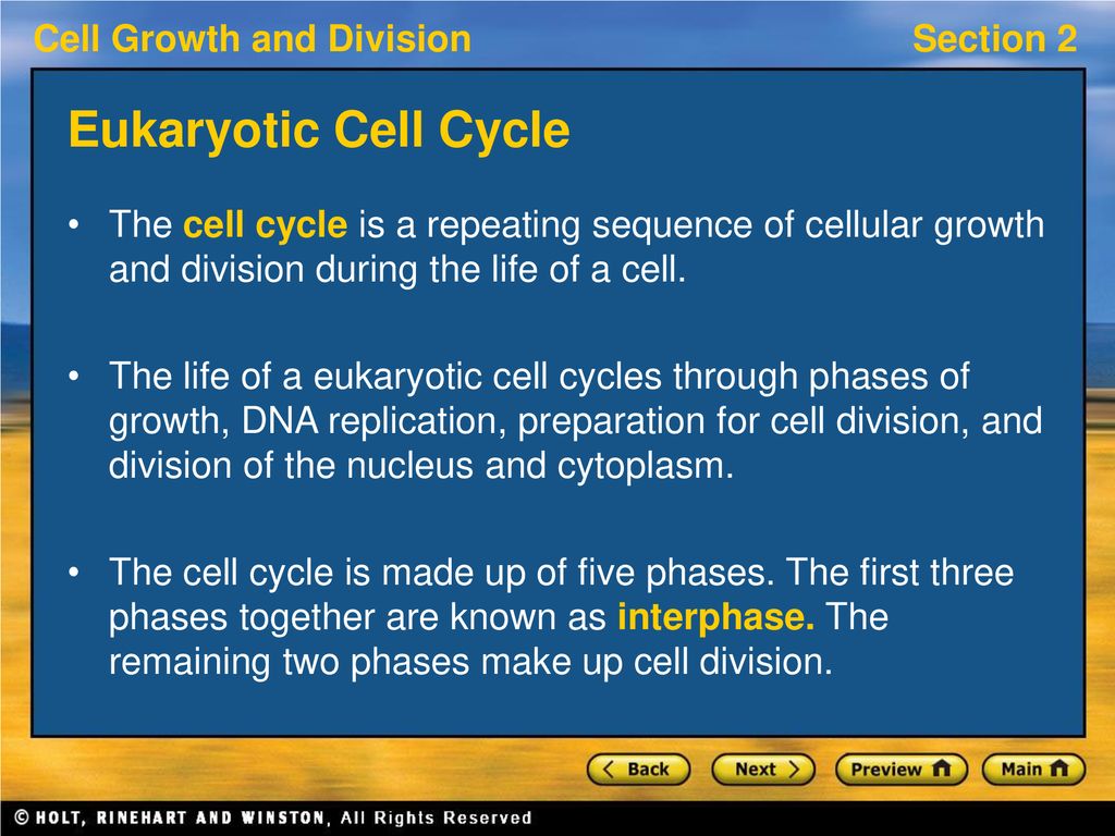 Section 2: Mitosis Preview Bellringer Key Ideas Eukaryotic Cell Cycle ... Biology Diagrams