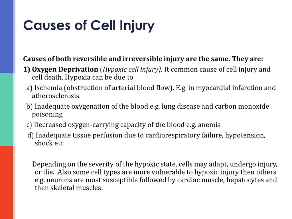 Causes of Cell Injury