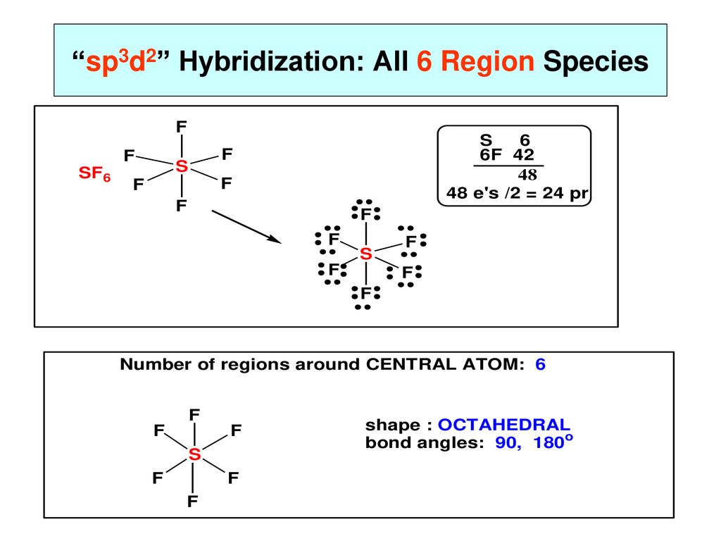 sp3d2" Hybridization: All 6 Region Species.