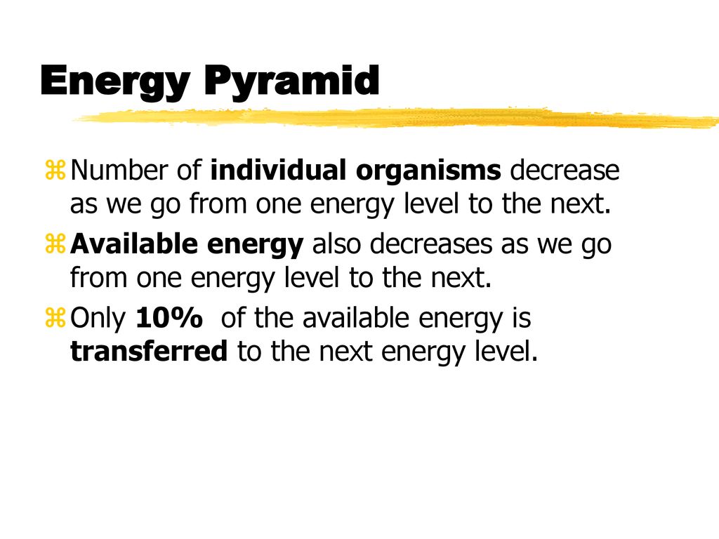 Energy Pyramid Number of individual organisms decrease as we go from one energy level to the next.