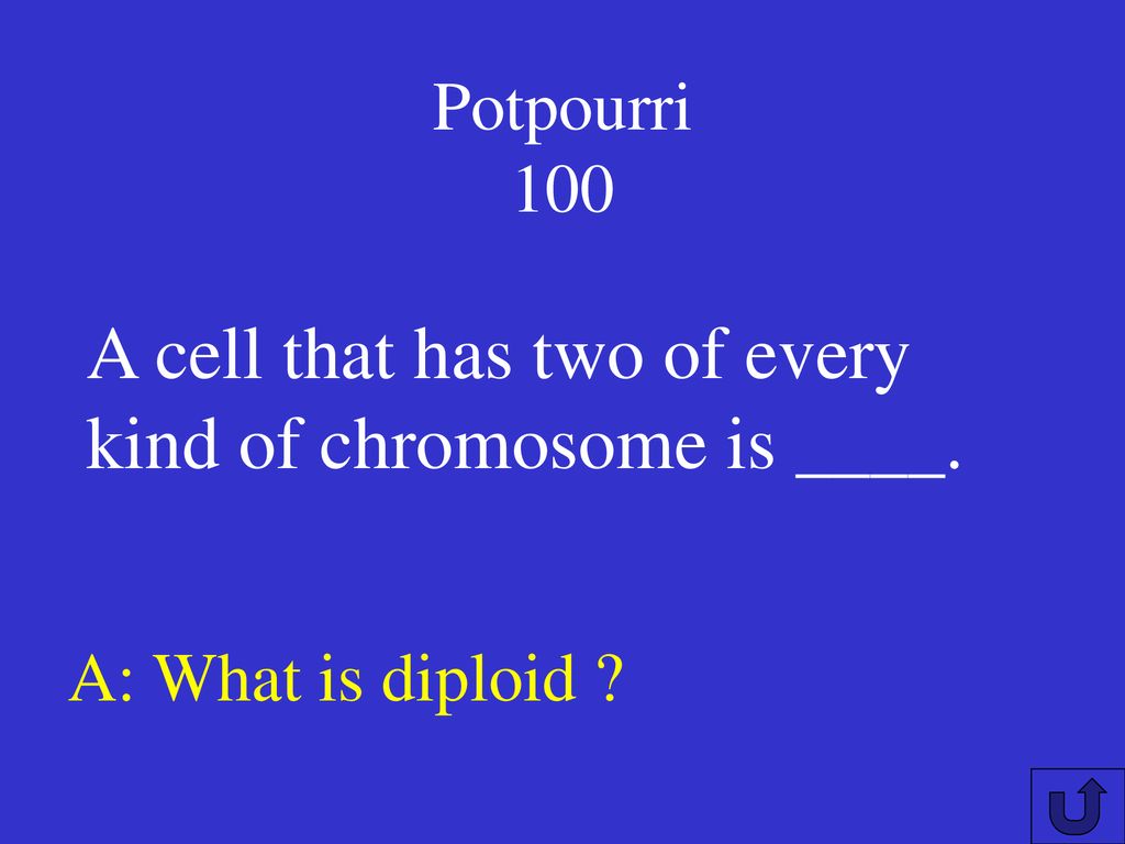 Cell Division JEOPARDY Ppt Download cell-division-jeopardy-ppt-download