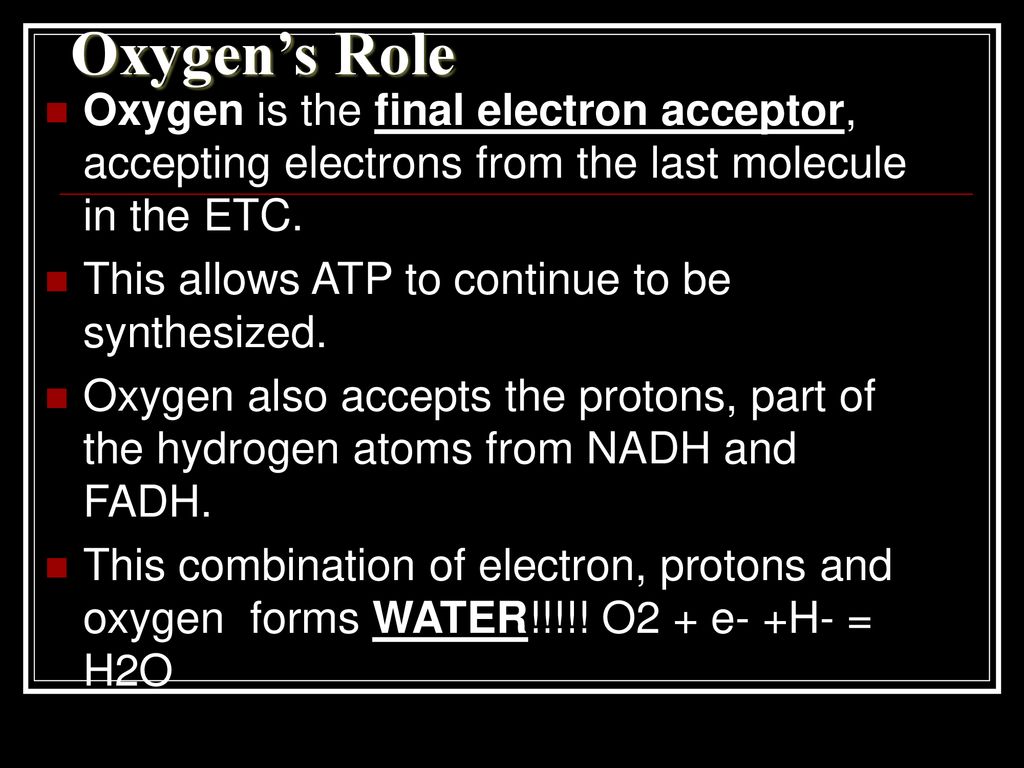 Oxygen’s Role Oxygen is the final electron acceptor, accepting electrons from the last molecule in the ETC.