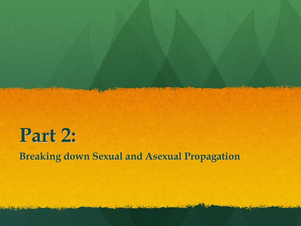 Breaking down Sexual and Asexual Propagation