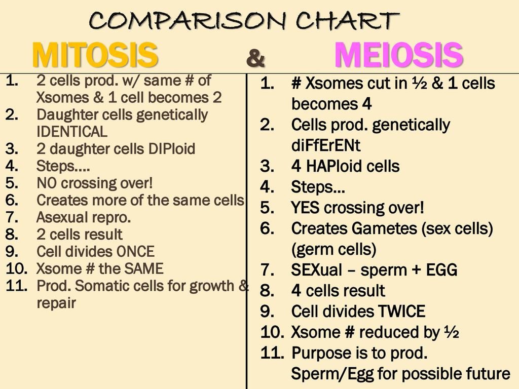 Mitosis And Meiosis Comparison Chart Answers