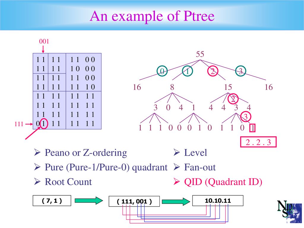 The P Tree Structure And Its Algebra Qin Ding Maleq Khan Amalendu Roy Ppt Download